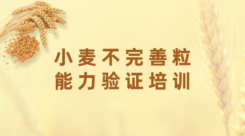 小麥不完善粒能力驗(yàn)證培訓(xùn)